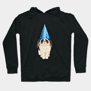 Hoppy Birthday Hoodie